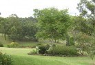 Coopers Creek VICresidential-landscaping-40.jpg; ?>